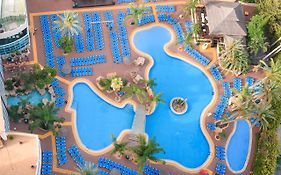 Flamingo Oasis